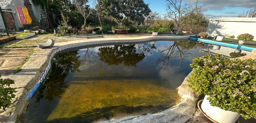 PARCELA RUSTICA EL CORONIL