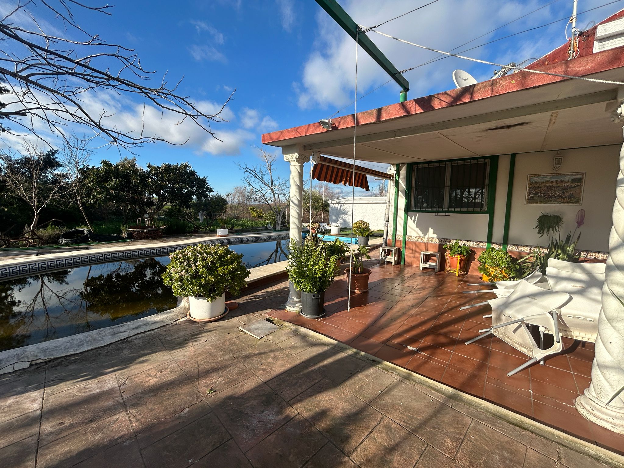 PARCELA RUSTICA EL CORONIL