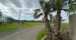 PARCELA RUSTICA EL CORONIL