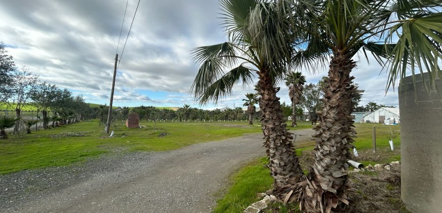 PARCELA RUSTICA EL CORONIL