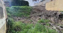 Oportunidad única en Tomares