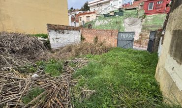 Oportunidad única en Tomares
