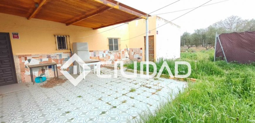 Campo en venta – Zona N-IV