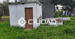 Campo en venta – Zona N-IV