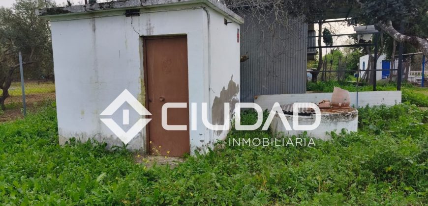 Campo en venta – Zona N-IV