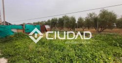 Campo en venta – Zona N-IV