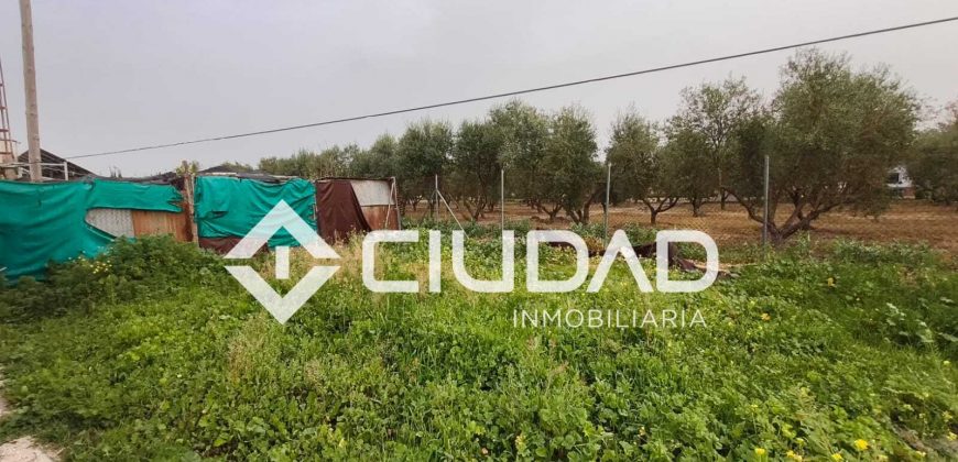 Campo en venta – Zona N-IV