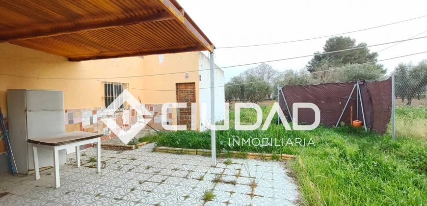 Campo en venta – Zona N-IV