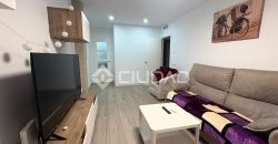 Piso reformado en pleno centro