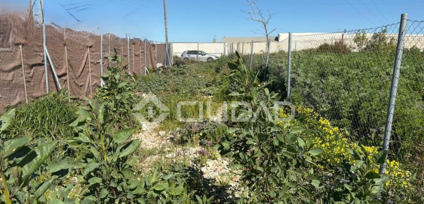 Parcela rústico en El Cortijillo