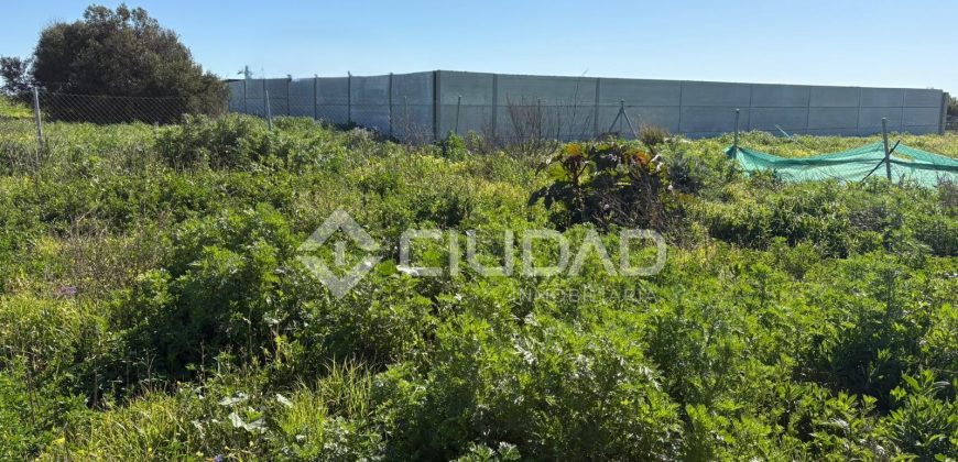 Parcela rústico en El Cortijillo