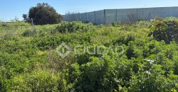 Parcela rústico en El Cortijillo