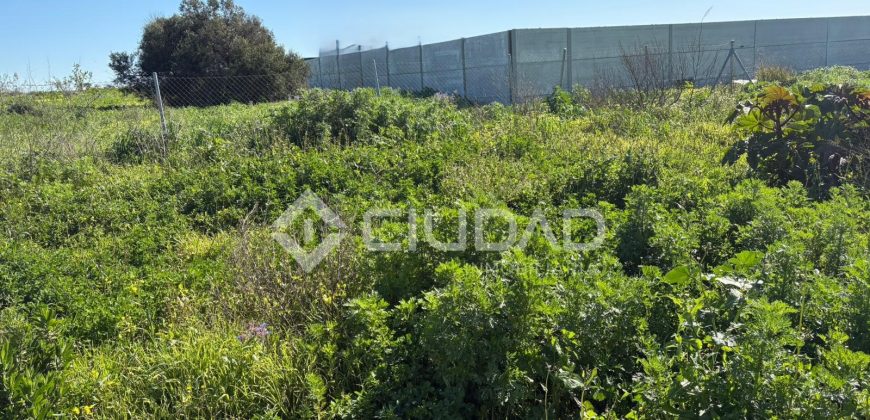 Parcela rústico en El Cortijillo