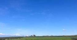 TERRENO RUSTICO Y CASA DE CAMPO EN CARMONA