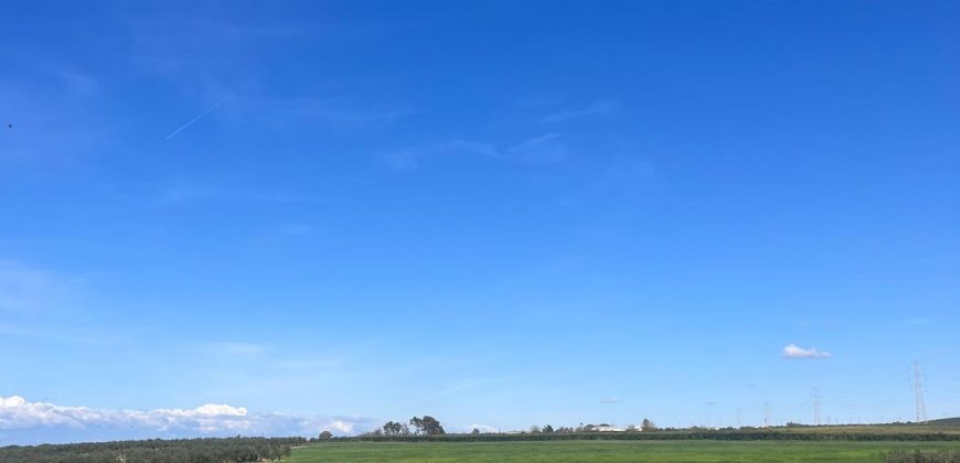 TERRENO RUSTICO Y CASA DE CAMPO EN CARMONA
