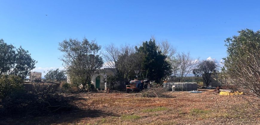 TERRENO RUSTICO Y CASA DE CAMPO EN CARMONA