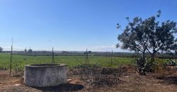 TERRENO RUSTICO Y CASA DE CAMPO EN CARMONA