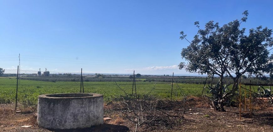 TERRENO RUSTICO Y CASA DE CAMPO EN CARMONA