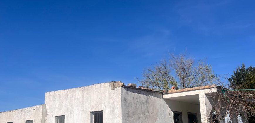 TERRENO RUSTICO Y CASA DE CAMPO EN CARMONA
