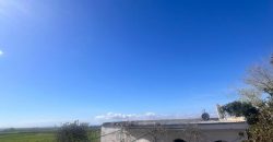 TERRENO RUSTICO Y CASA DE CAMPO EN CARMONA