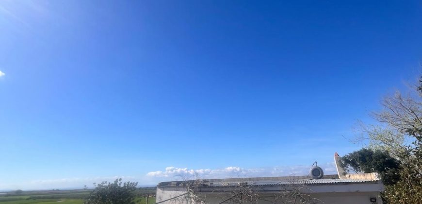 TERRENO RUSTICO Y CASA DE CAMPO EN CARMONA