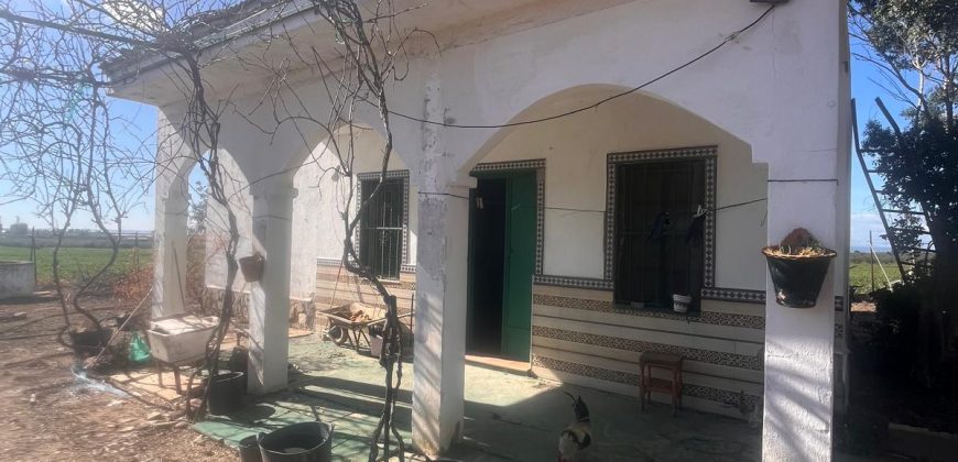 TERRENO RUSTICO Y CASA DE CAMPO EN CARMONA