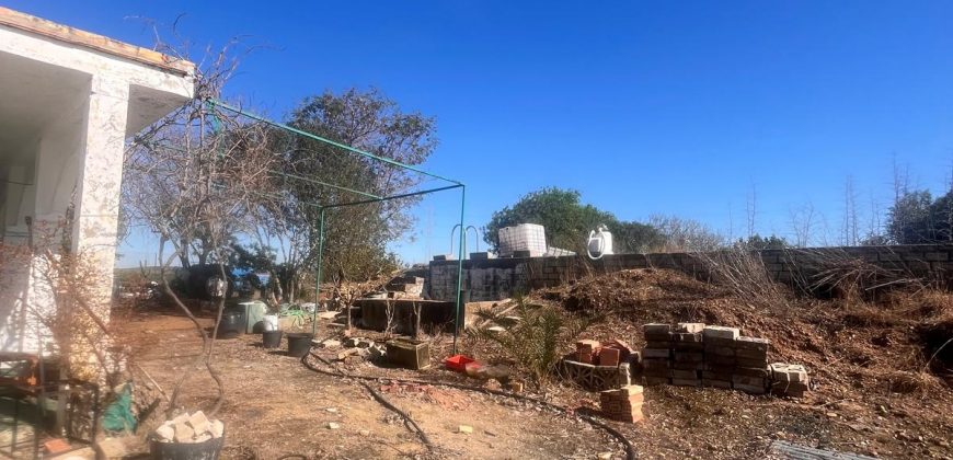 TERRENO RUSTICO Y CASA DE CAMPO EN CARMONA