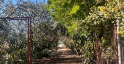 TERRENO RUSTICO Y CASA DE CAMPO EN CARMONA