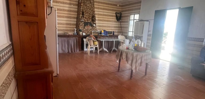 TERRENO RUSTICO Y CASA DE CAMPO EN CARMONA