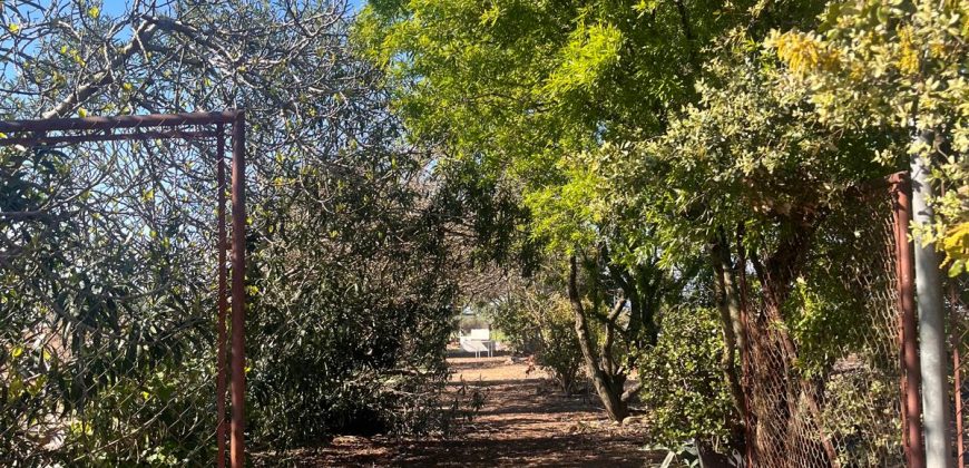 TERRENO RUSTICO Y CASA DE CAMPO EN CARMONA