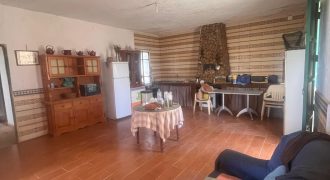 TERRENO RUSTICO Y CASA DE CAMPO EN CARMONA