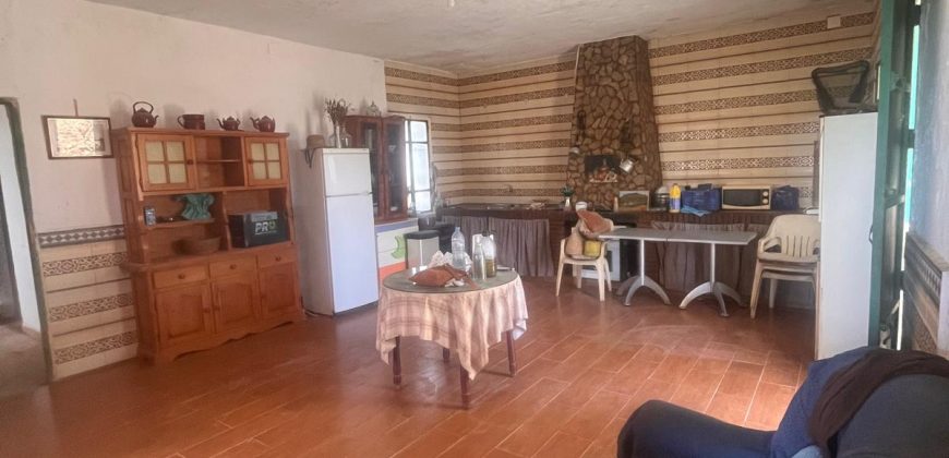 TERRENO RUSTICO Y CASA DE CAMPO EN CARMONA