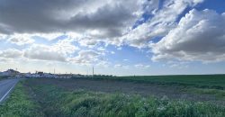 TERRENO DE REGADIO EL PALMAR DE TROYA