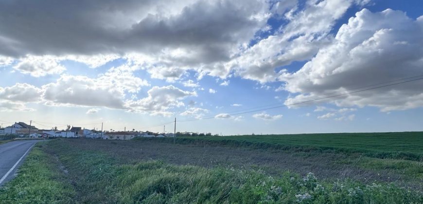 TERRENO DE REGADIO EL PALMAR DE TROYA
