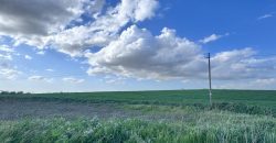 TERRENO DE REGADIO EL PALMAR DE TROYA