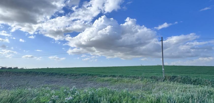 TERRENO DE REGADIO EL PALMAR DE TROYA