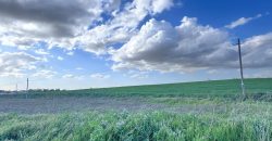 TERRENO DE REGADIO EL PALMAR DE TROYA