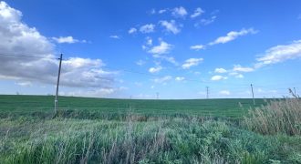 TERRENO DE REGADIO EL PALMAR DE TROYA