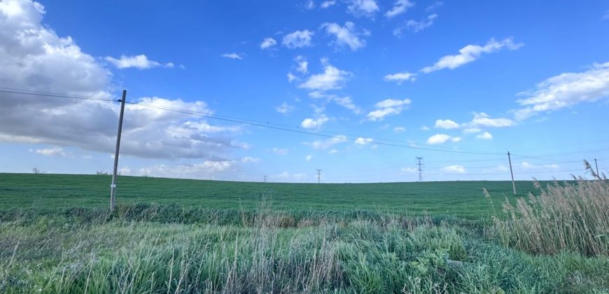 TERRENO DE REGADIO EL PALMAR DE TROYA