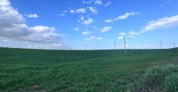 TERRENO DE REGADIO EL PALMAR DE TROYA