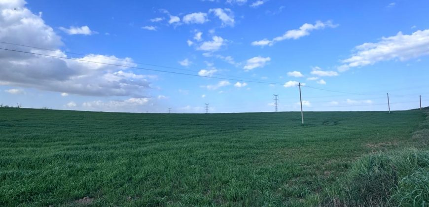 TERRENO DE REGADIO EL PALMAR DE TROYA