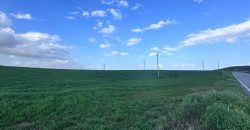 TERRENO DE REGADIO EL PALMAR DE TROYA