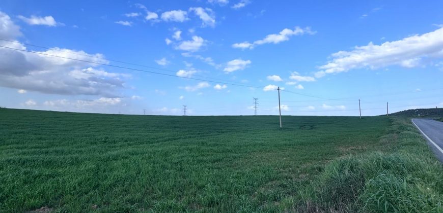 TERRENO DE REGADIO EL PALMAR DE TROYA