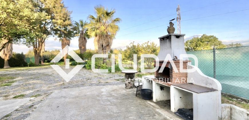 Campo con casa y piscina de obra – Zona La Encinilla