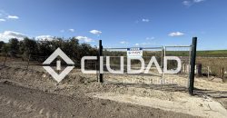 Campo en venta – Camino Bajo Guía