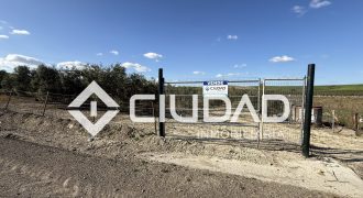 Campo en venta – Camino Bajo Guía