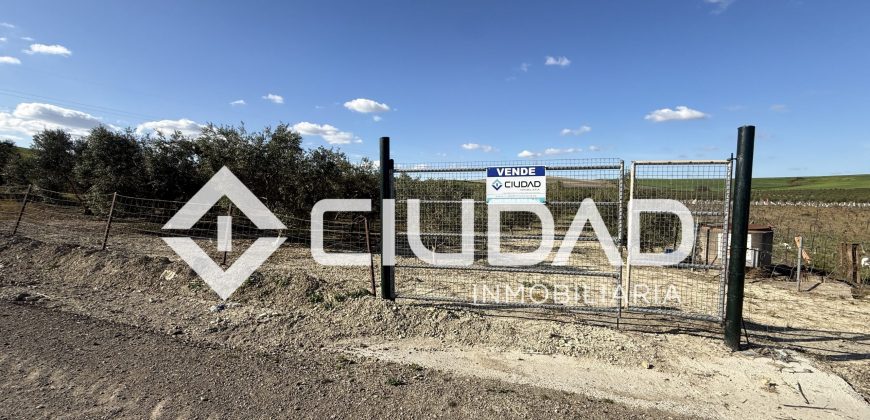 Campo en venta – Camino Bajo Guía