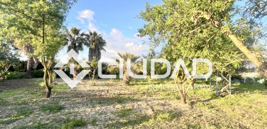 Campo con casa y piscina de obra – Zona La Encinilla