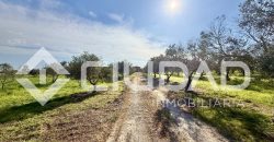Finca rústica en venta – Camino La Reyerta (Hipotecable)