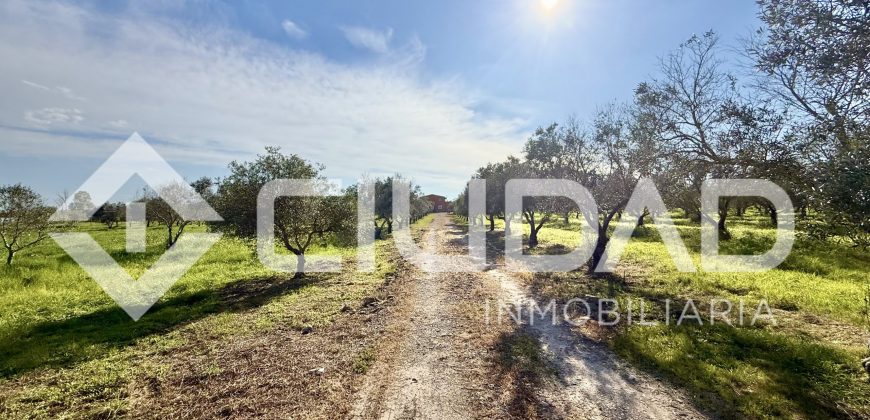 Finca rústica en venta – Camino La Reyerta (Hipotecable)